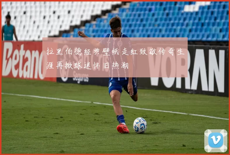 拉里伯德经典壁纸走红致敬传奇生涯再掀球迷怀旧热潮