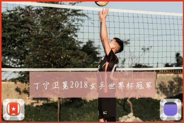 丁宁卫冕2018女乒世界杯冠军