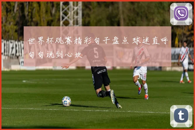 世界杯观赛精彩句子盘点 球迷直呼句句说到心坎
