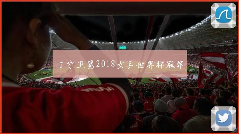 丁宁卫冕2018女乒世界杯冠军