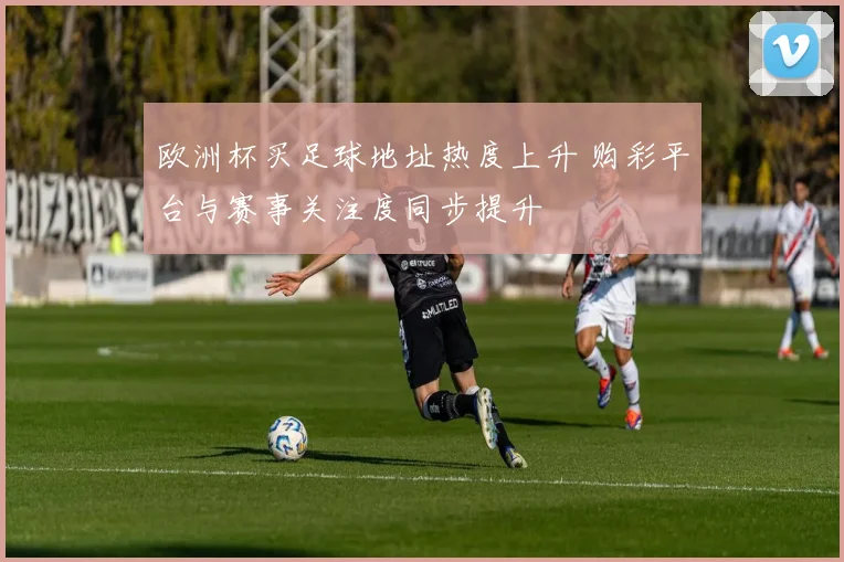欧洲杯买足球地址热度上升 购彩平台与赛事关注度同步提升