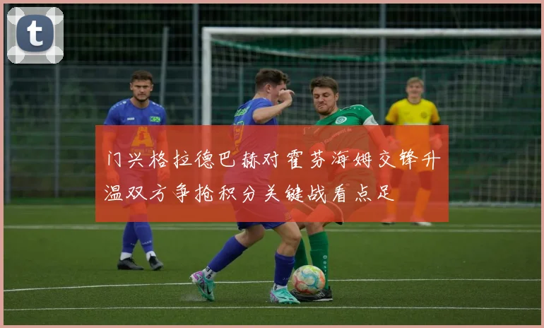 门兴格拉德巴赫对霍芬海姆交锋升温双方争抢积分关键战看点足